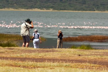 Yaşlılar foto safari