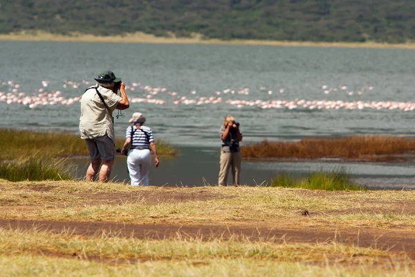 Mayores en safari fotográfico —  Fotos de Stock