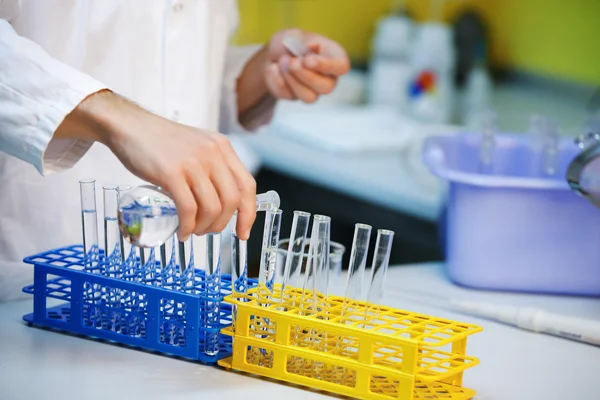 Reagenzgläser im Labor — Stockfoto