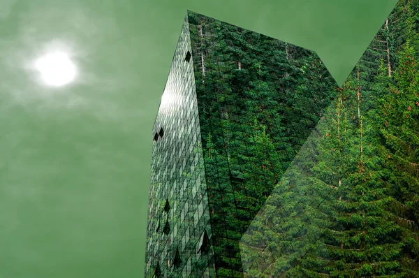 Edifício moderno coberto de floresta — Fotografia de Stock