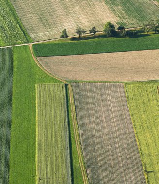 Freshly plowed and sowed farming land from above clipart