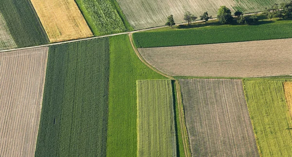 Terreni agricoli appena arati e seminati dall'alto — Foto Stock