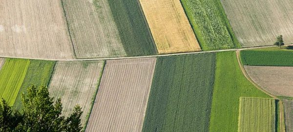 Terras agrícolas lavradas e semeadas de cima — Fotografia de Stock