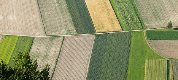 Terreni agricoli appena arati e seminati dall'alto — Foto Stock