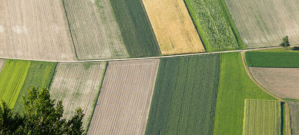 Freshly plowed and sowed farming land from above