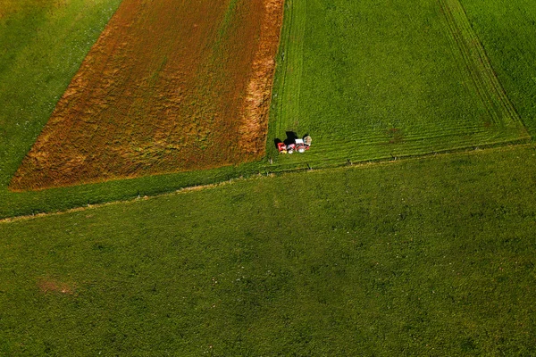 Tractor mowing pasture on big field of neatly cultivated land — Stock Photo, Image