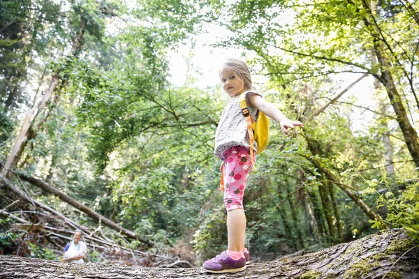 Büszke kis lány cserkész állva egy naplót, az erdőben — Stock Fotó