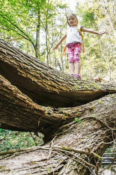 Nieustraszony mały stojący harcerka na upadłego dziennika w lesie — Zdjęcie stockowe