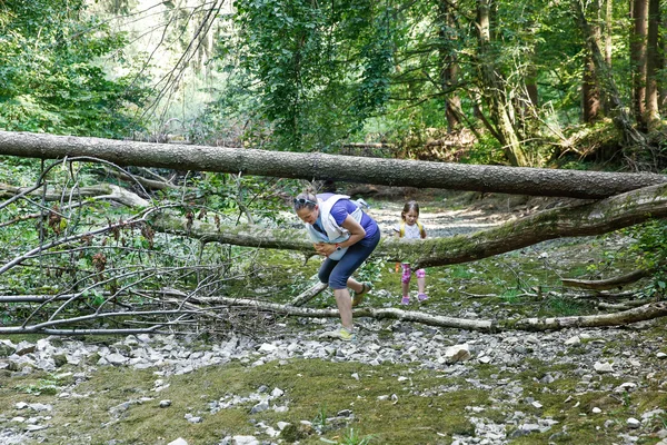 Malá holčička zkoumání velké přírodní s její rodinou — Stock fotografie