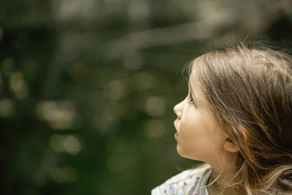 Kleines Mädchen beobachtet Bäume, Himmel und Vögel in Ehrfurcht — Stockfoto