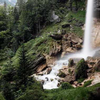 Yeşil ormanda şelale