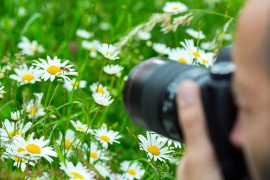 Makro fotoğrafçı