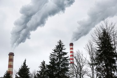 Endüstriyel baca pis duman üfleme