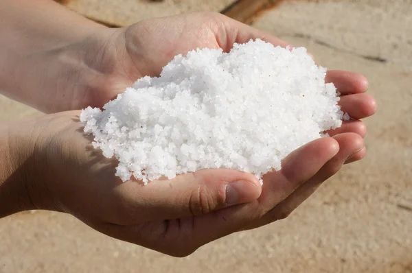 新鮮な収穫の塩の山 — ストック写真
