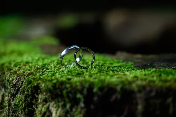 Anéis de casamento — Fotografia de Stock