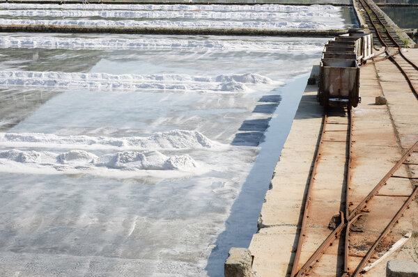 Rail carts for salt transportation