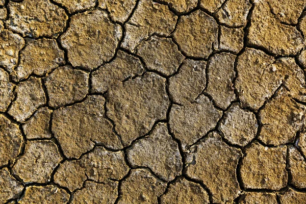 Suelo árido seco — Foto de Stock