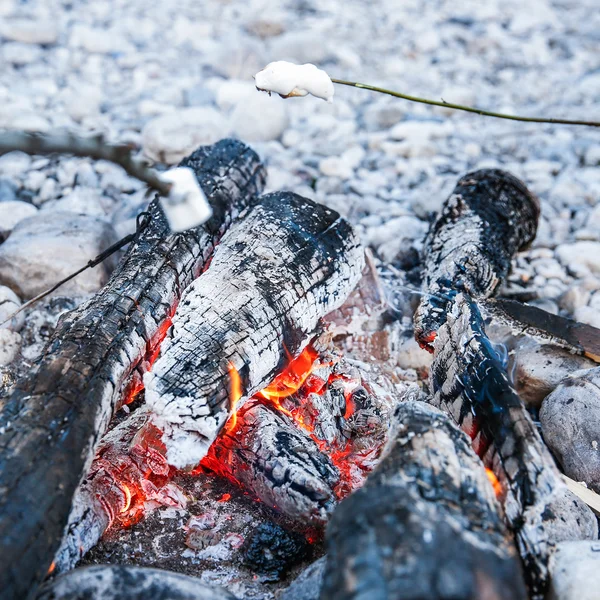 Nalepený na větvičce, je opékat marshmallows — Stock fotografie