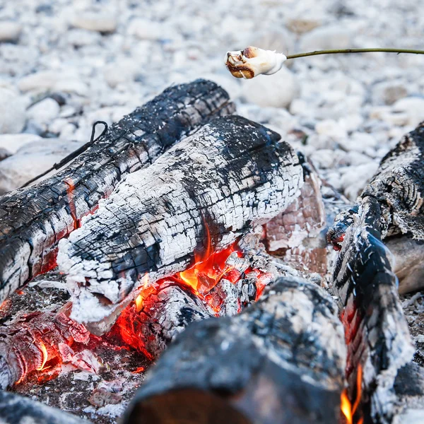 Marshmallows sticked on a twig, being toasted — Stock Photo, Image