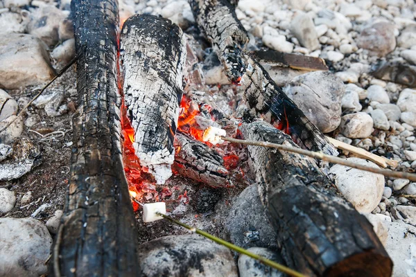 Marshmallows sticked on a twig, being toasted — Stock Photo, Image