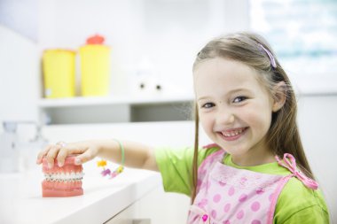 Girl holding model of human jaw with dental braces clipart