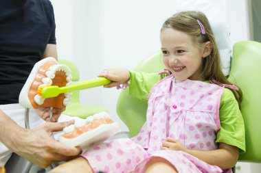 Girl in dentists chair toothbrushing a model clipart