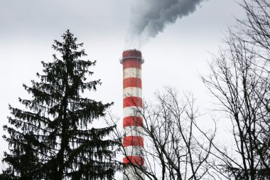 Endüstriyel baca pis duman üfleme