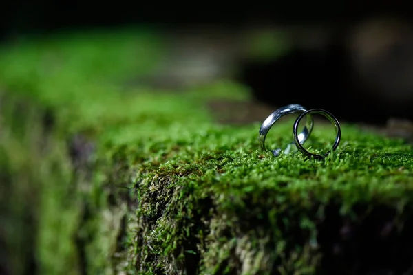 Anéis de casamento — Fotografia de Stock