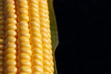 Sarı mısır taneleri, closeup düzgün satırları ayarla