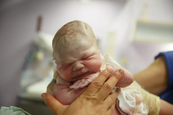 Partera sosteniendo un vernix cubierto recién nacido —  Fotos de Stock