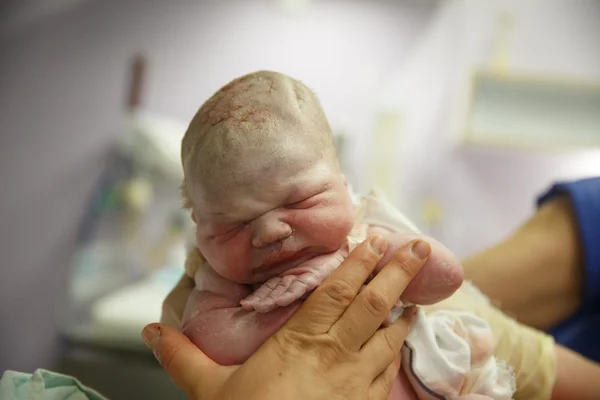 Midwife holding up a vernix covered newborn — Stock Photo, Image