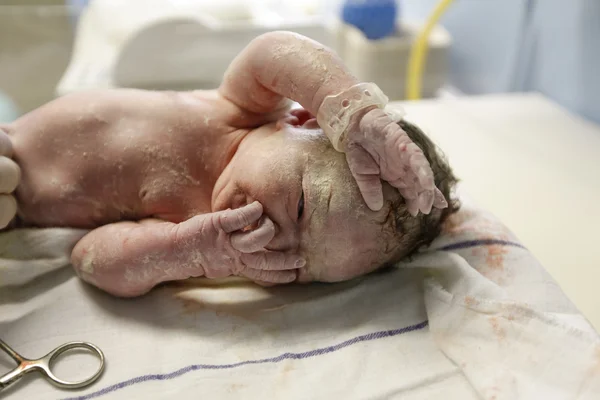 Vernix covered newborn — Stock Photo, Image