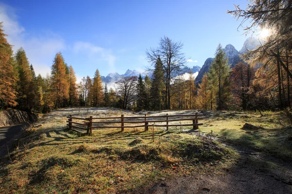 Mountain betesmark med morgon frost på gräset — Stockfoto