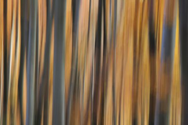 Dokulu ve bulanık arka plan