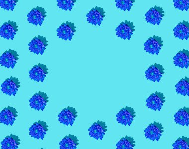 Yaratıcı minimum düz kalıp sanat kompozisyonu. Mavi arka plana karşı mavi çiçekler. Kopya alanı ile yaratıcı soyut sanat arkaplanı.