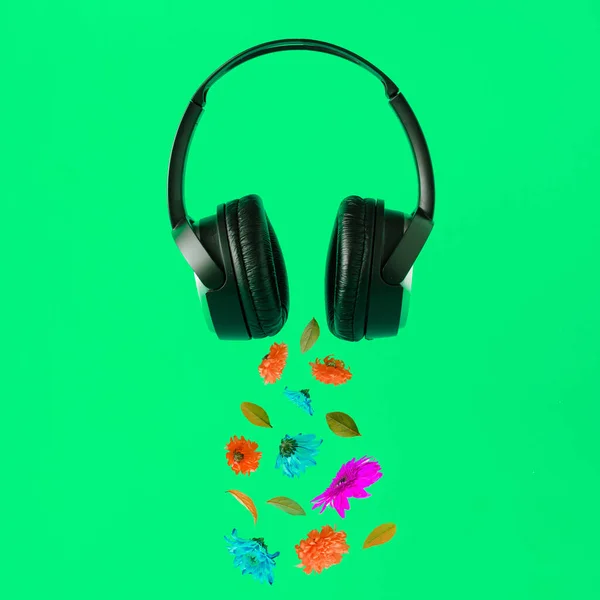 Idée Publicité Avec Écouteurs Musique Noirs Fleurs Été Colorées Feuilles — Photo