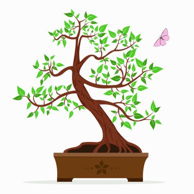 Bonsai ağacının çizimi