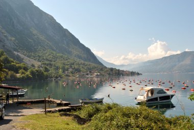 Midye çiftlik Boka Kotorska Bay