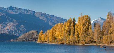 Wanaka Gölü