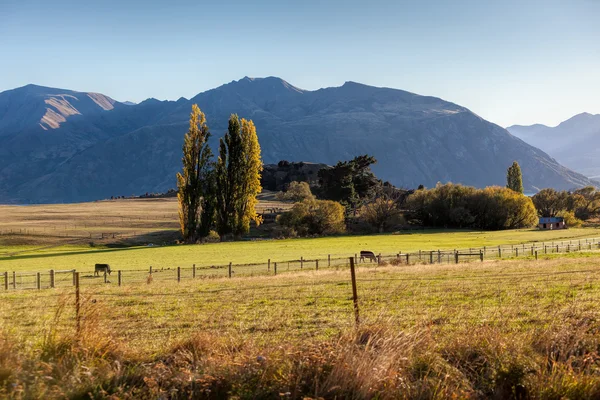 Terreni agricoli — Foto Stock