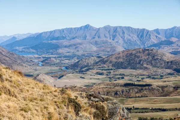 Abstrac di boschi di pino — Foto Stock