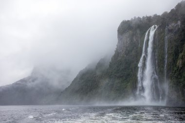 Rainny and foggy day at Milfordsound