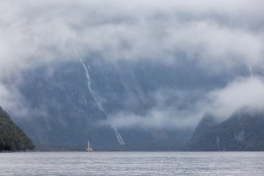 Rainny and foggy day at Milfordsound