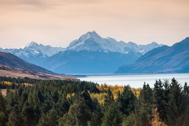 Mt. Cook