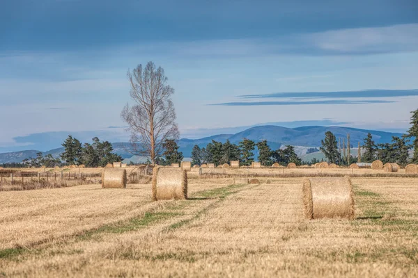 Hay beles — Stock Photo, Image