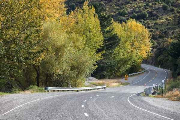 Road trip — Stock Photo, Image