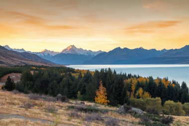 Mt. Cook