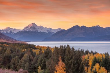 Mt. Cook