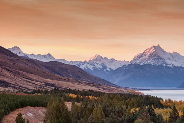 Mt. Cook — Stock Photo, Image