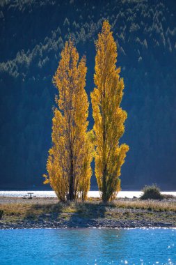 Tekapo Gölü